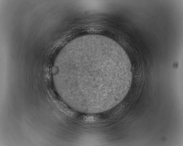 X0000115070755200911171130
