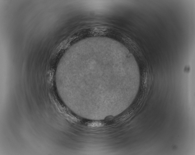 X0000115070759200911171130