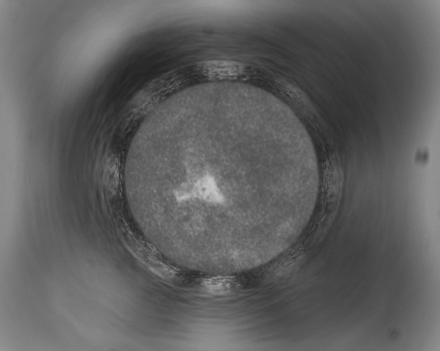 X0000115070761200911171130