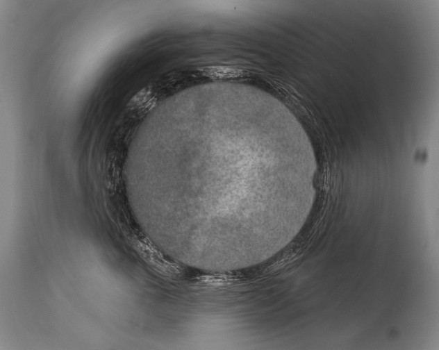 X0000115070763200911171130