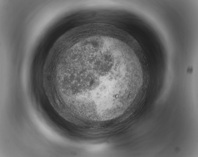 X0000115070765200911171130