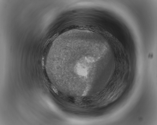 X0000115070766200911171130