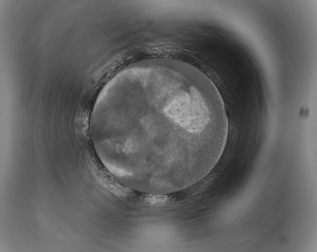 X0000115070767200911171130