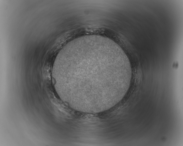 X0000115070770200911171129