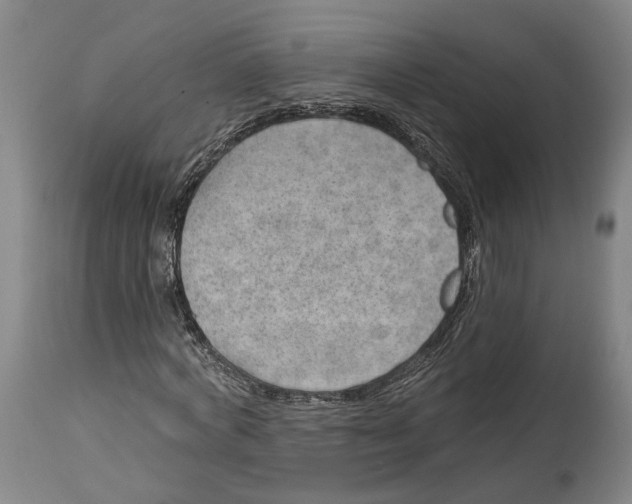 X0000115070772200911171129