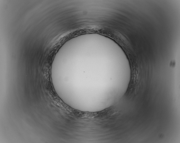 X0000115070773200911171129