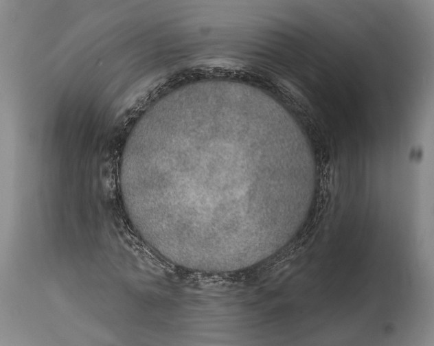 X0000115070774200911171129