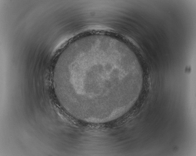 X0000115070775200911171129