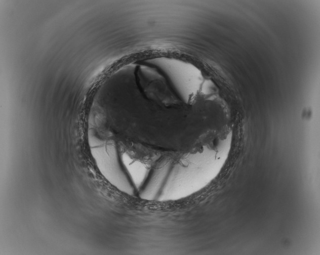 X0000115070776200911171129