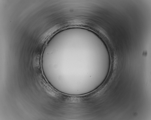 X0000115070777200911171129