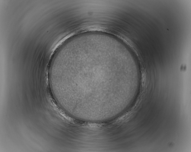 X0000115070782200911171129