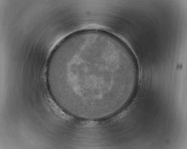 X0000115070783200911171129