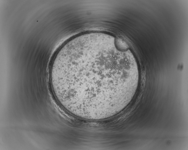 X0000115070787200911171129