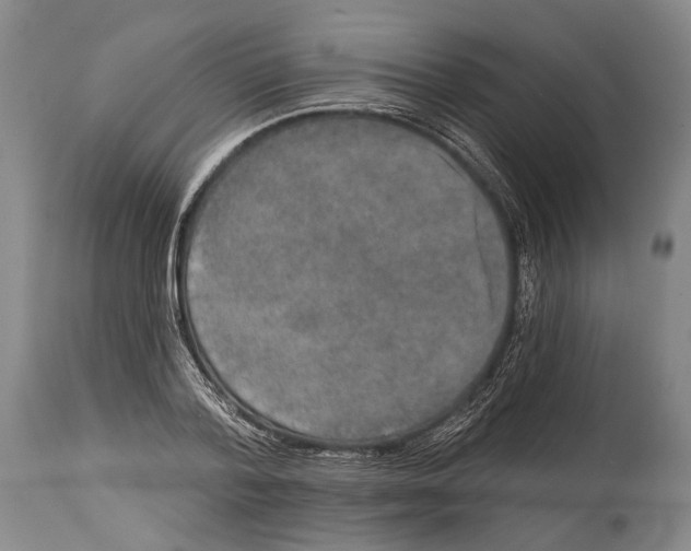 X0000115070788200911171129