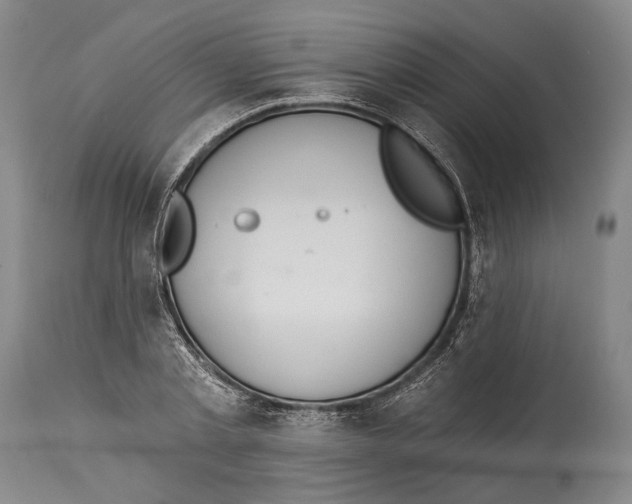 X0000115070789200911171129