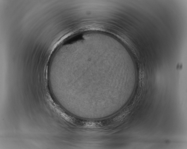 X0000115070790200911171129