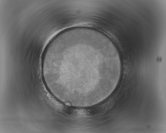 X0000115070792200911171129