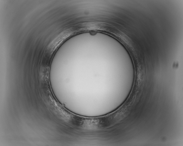 X0000115070793200911171129