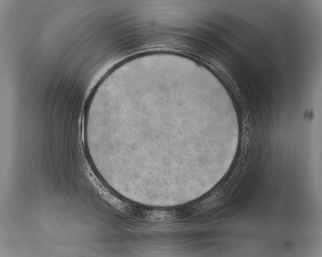 X0000115070796200911171129