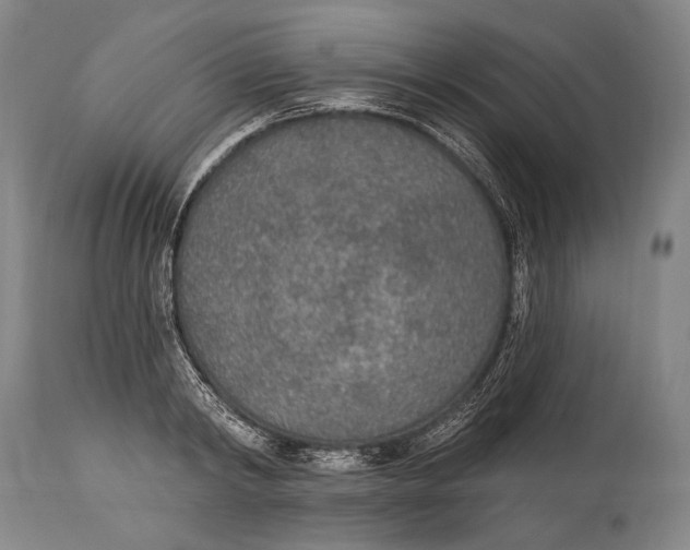 X0000115070798200911171129