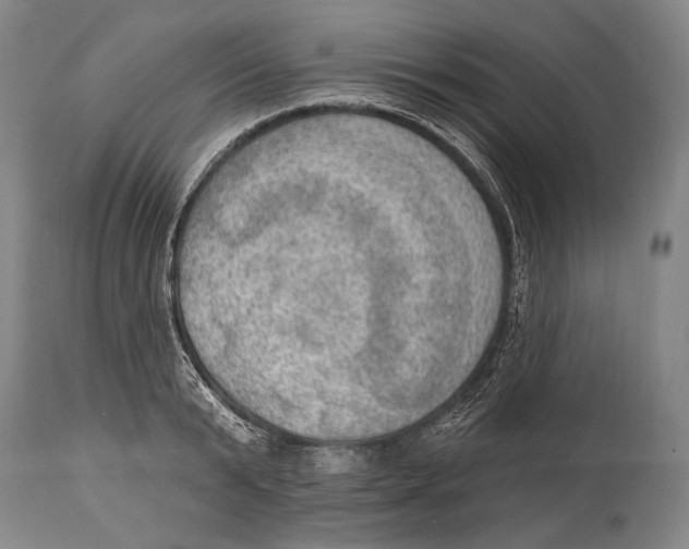 X0000115070799200911171129