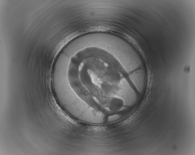 X0000115070802200911171129