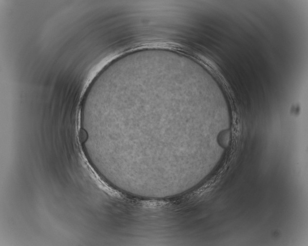 X0000115070804200911171129