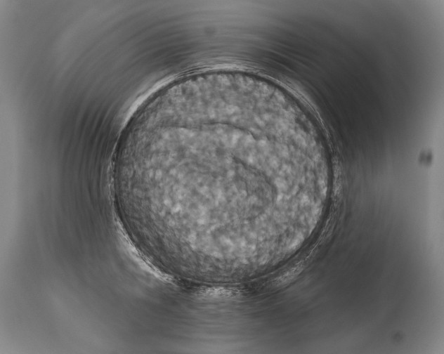 X0000115070806200911171129