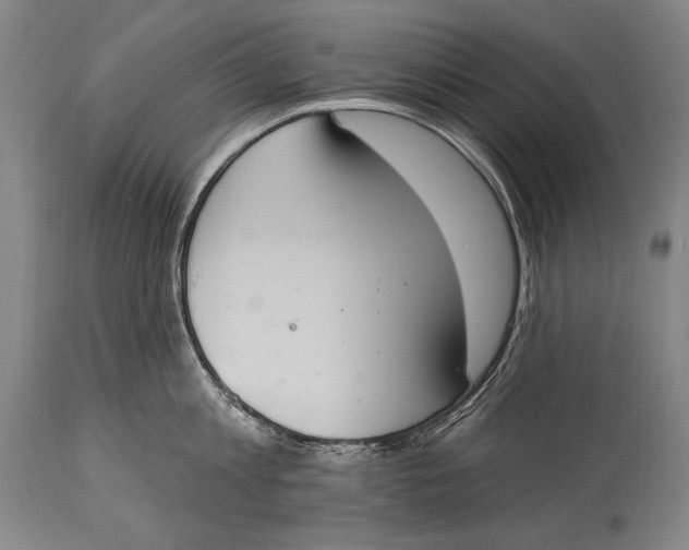 X0000115070813200911171129