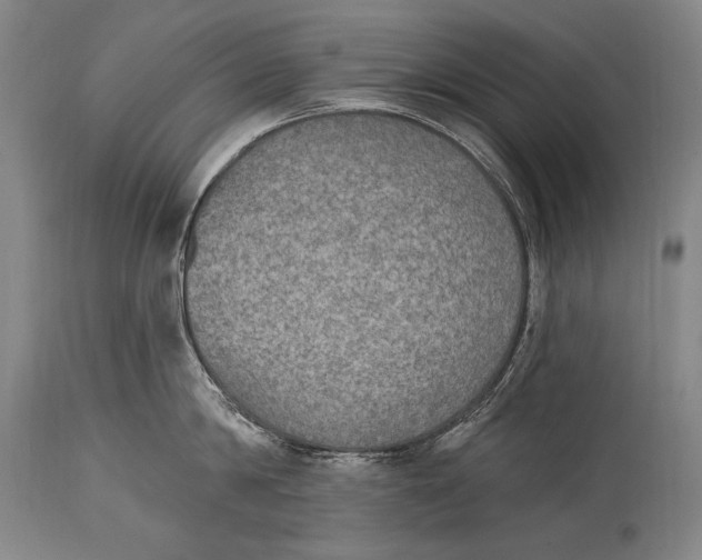 X0000115070814200911171129