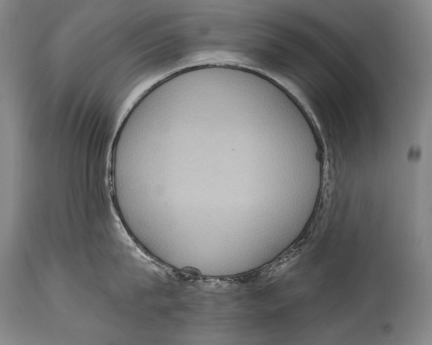 X0000115070815200911171129