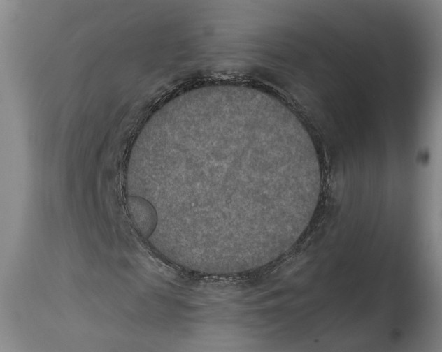 X0000115070817200911171128