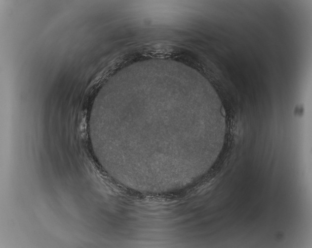 X0000115070818200911171128