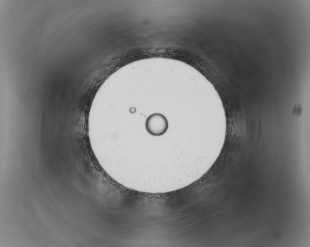 X0000115070820200911171128