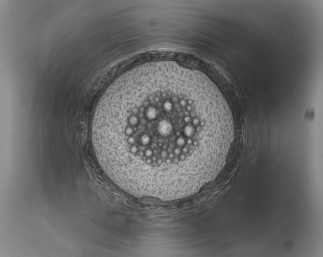 X0000115070821200911171128