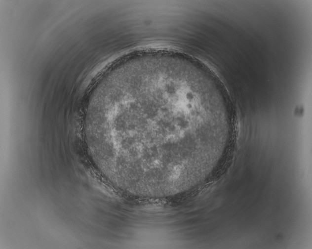 X0000115070823200911171128