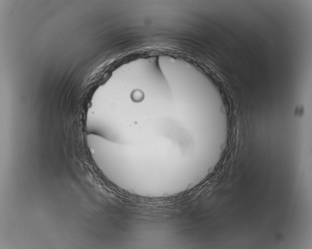 X0000115070824200911171128