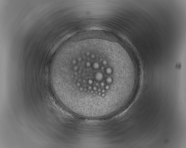 X0000115070825200911171128