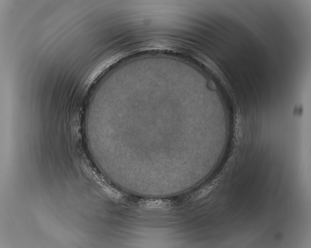 X0000115070826200911171128