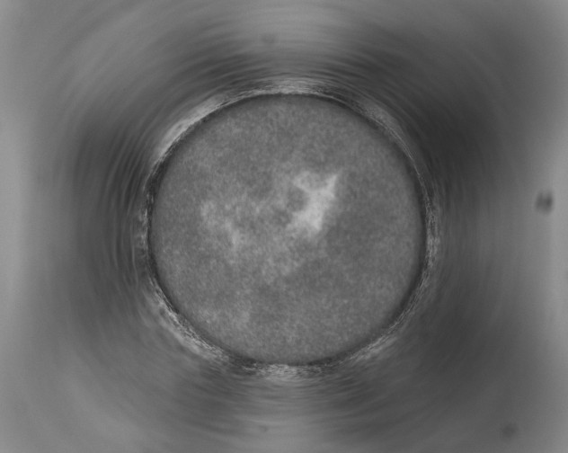 X0000115070827200911171128