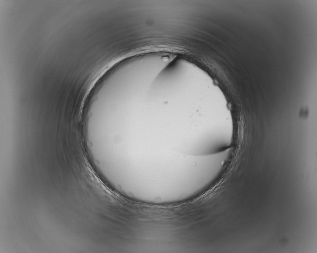 X0000115070828200911171128