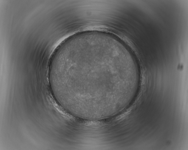 X0000115070830200911171128