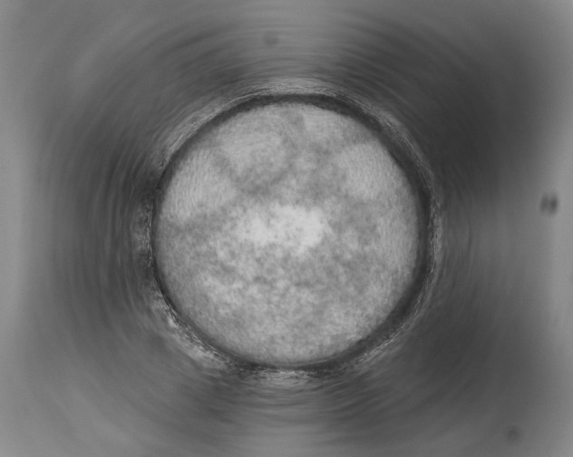 X0000115070833200911171128