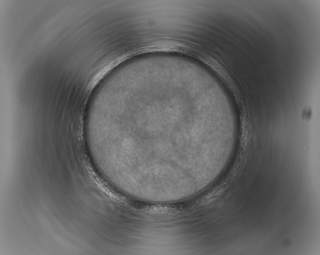 X0000115070834200911171128