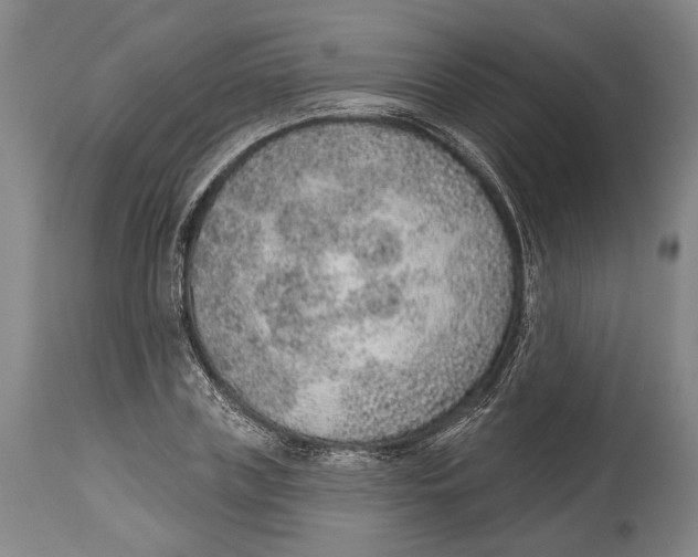 X0000115070835200911171128