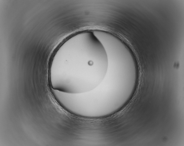 X0000115070836200911171128