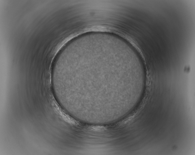 X0000115070837200911171128