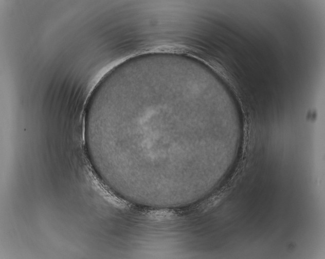 X0000115070838200911171128