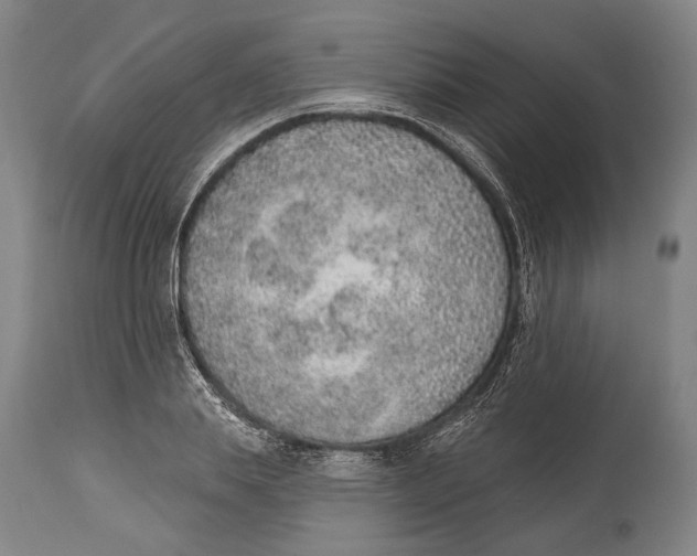 X0000115070839200911171128