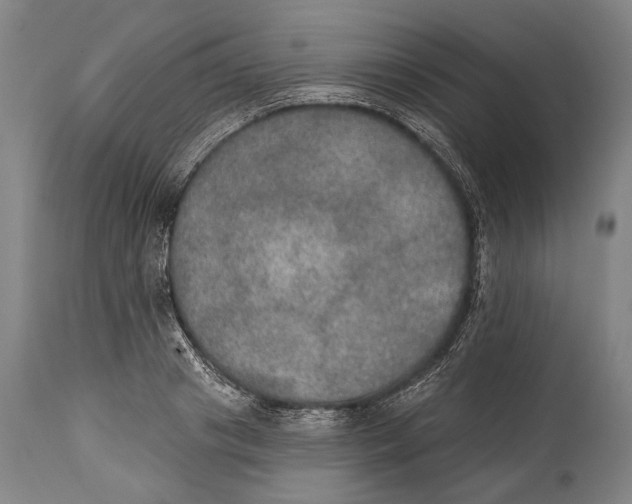 X0000115070841200911171128